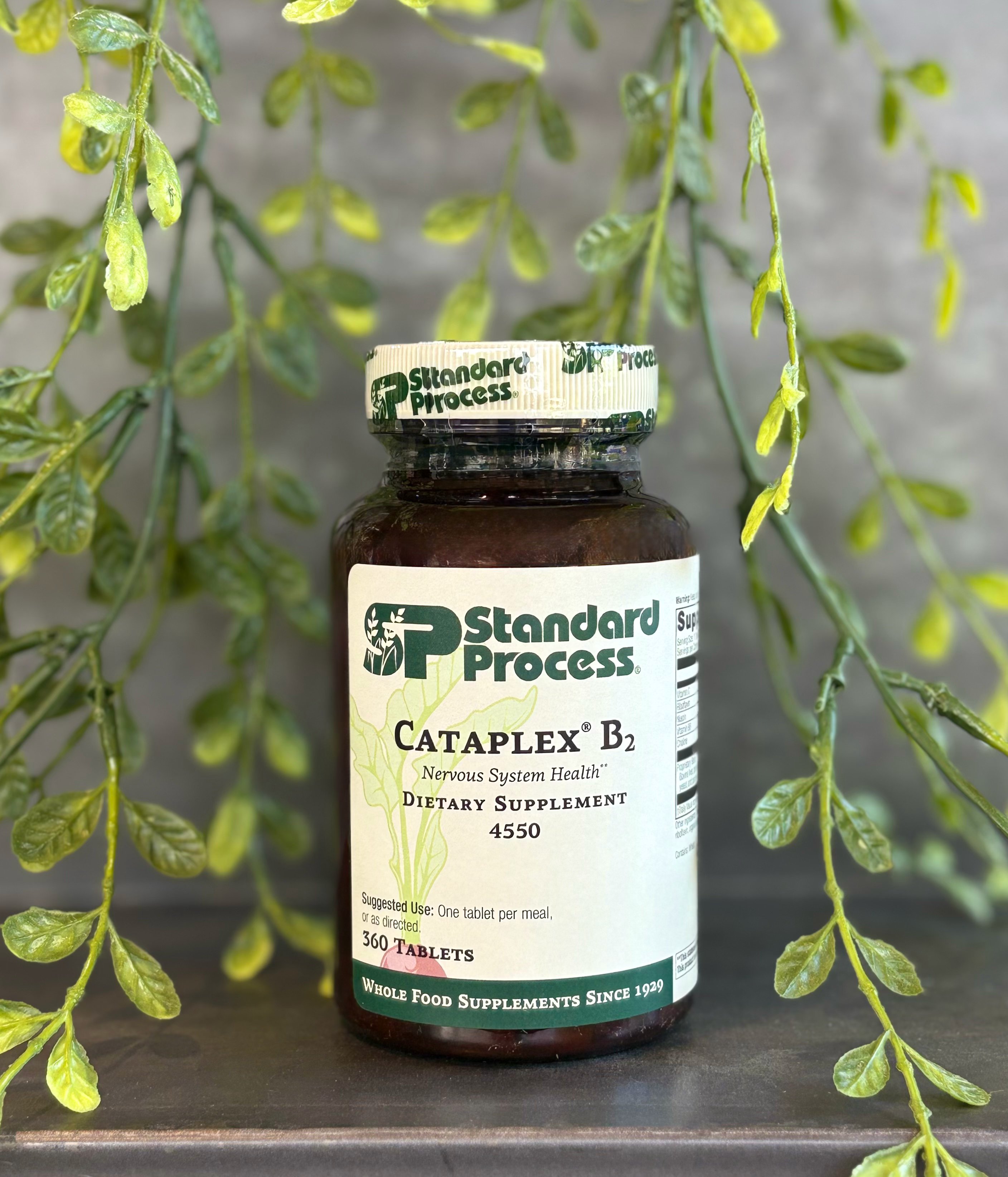 Cataplex B2