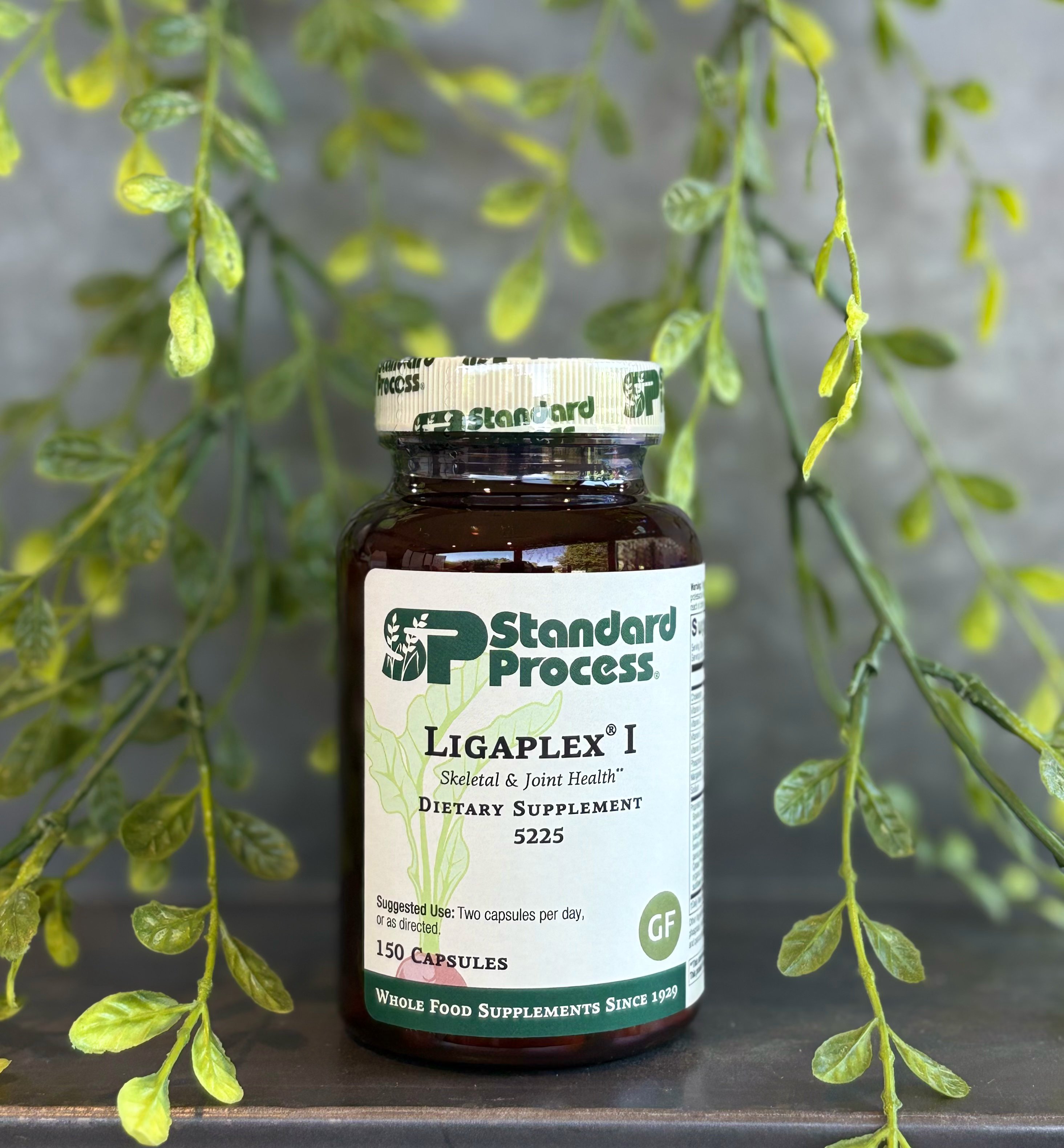 Ligaplex 1