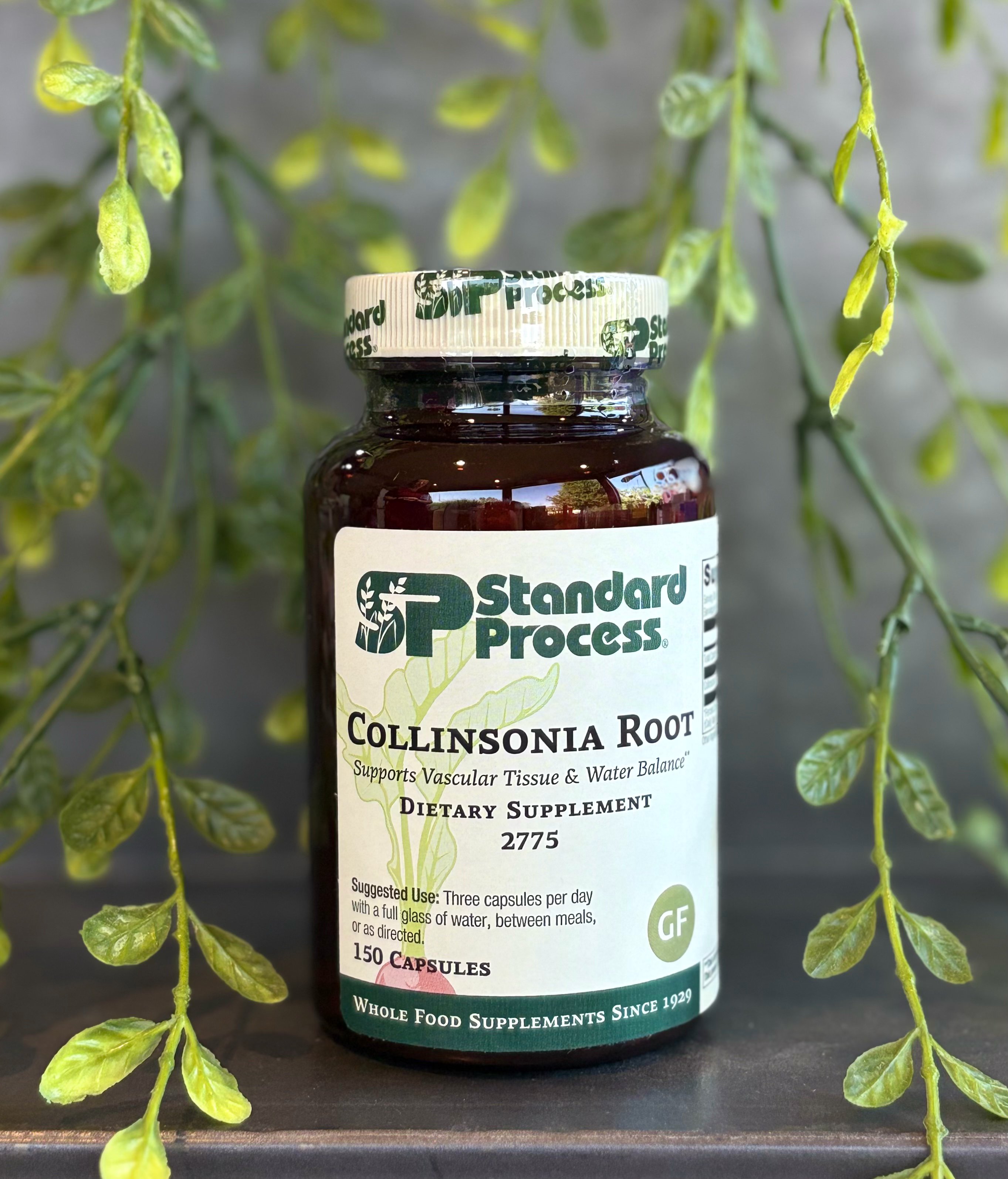 Collinsonia Root