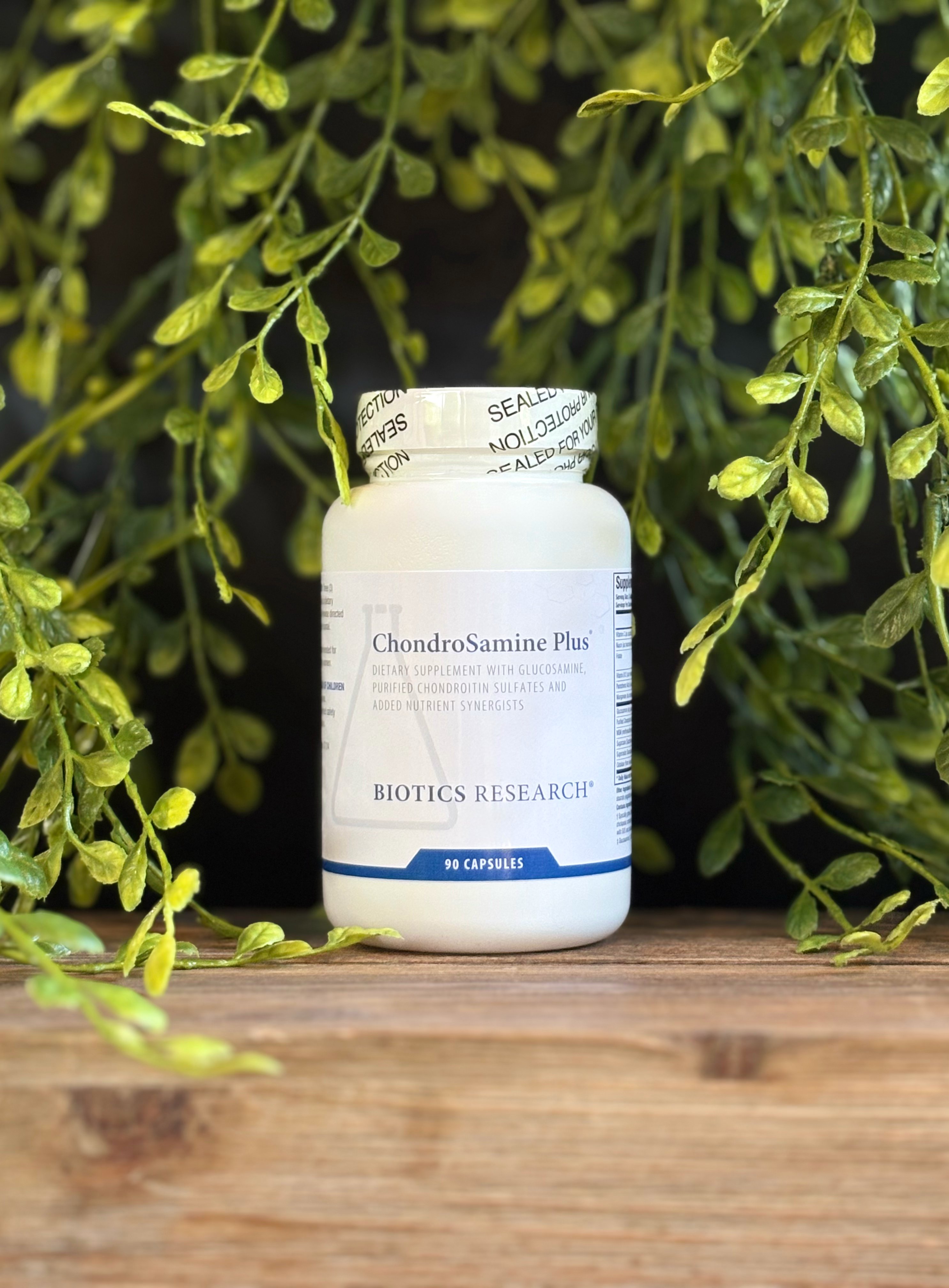 ChondroSamine Plus