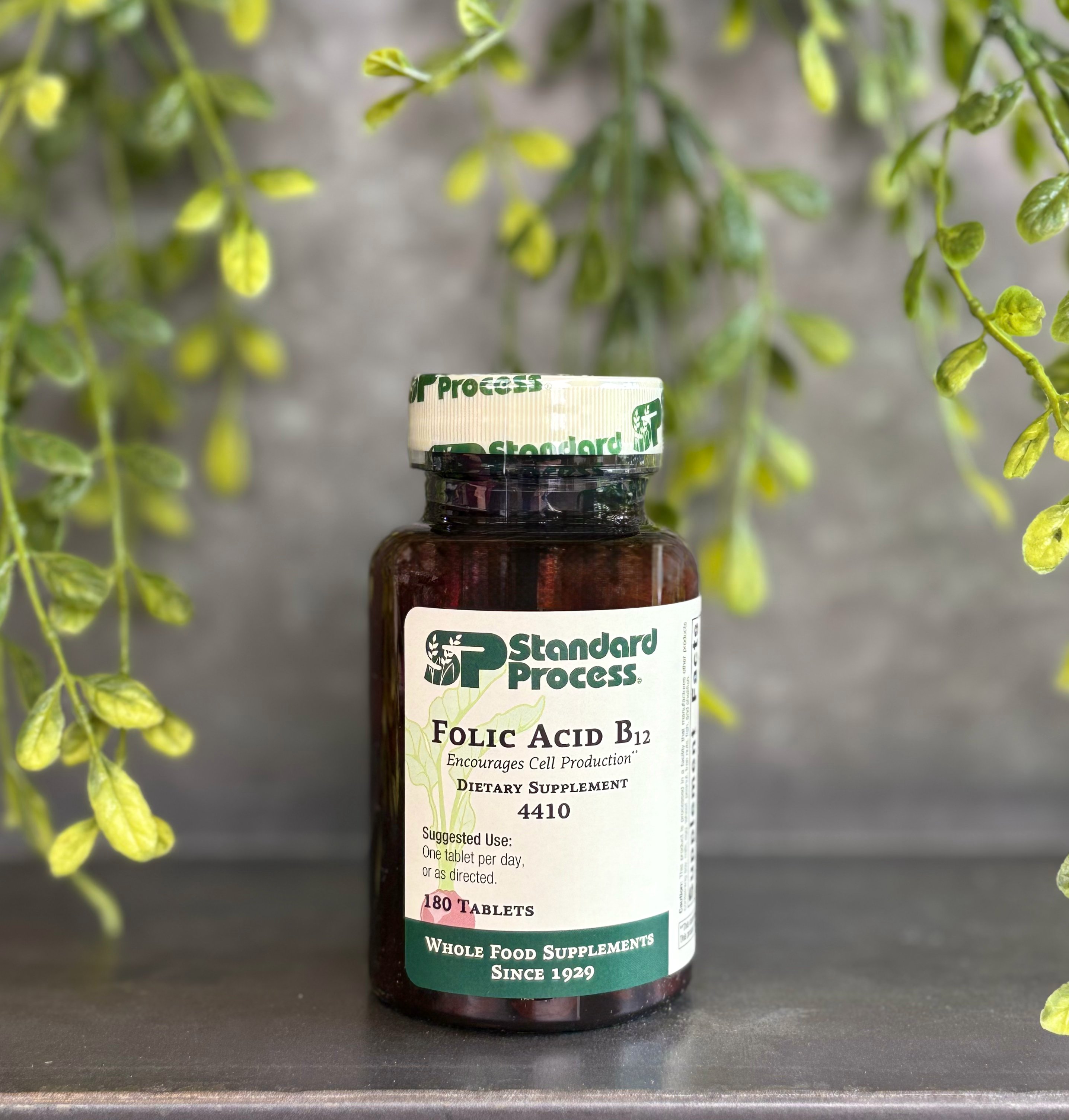 Folic Acid B12