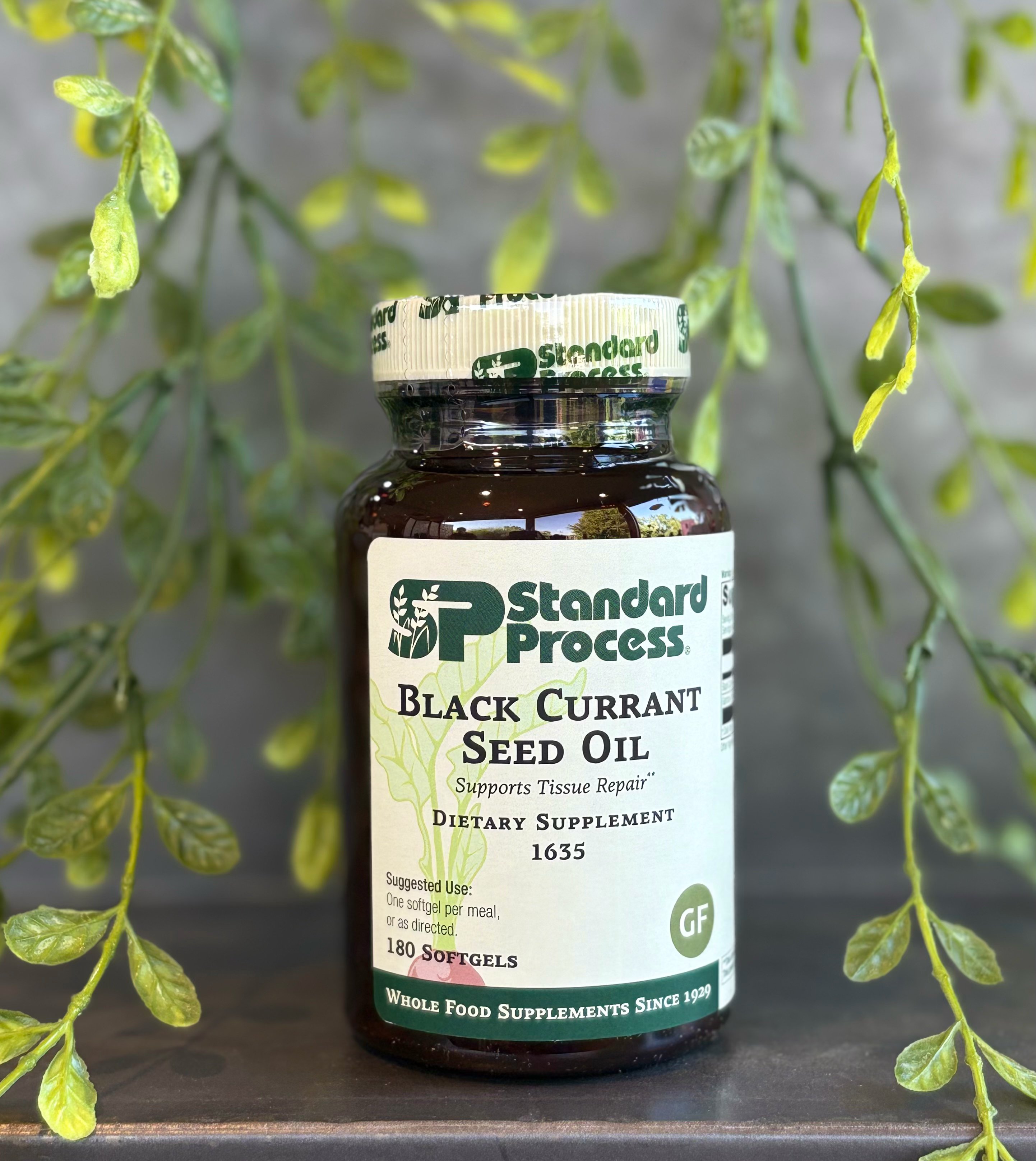 Black Currant Seed Oil